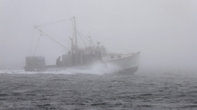 coastal fog
